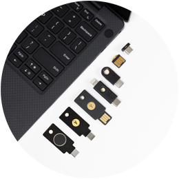 YubiKey 5 family lineup with YubiKey Bio added