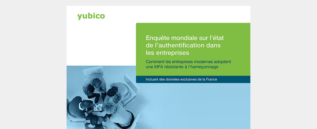 Global Enterprise survey report - French
