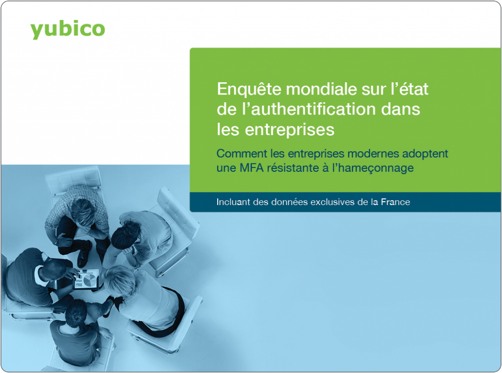 Global Enterprise survey report - French