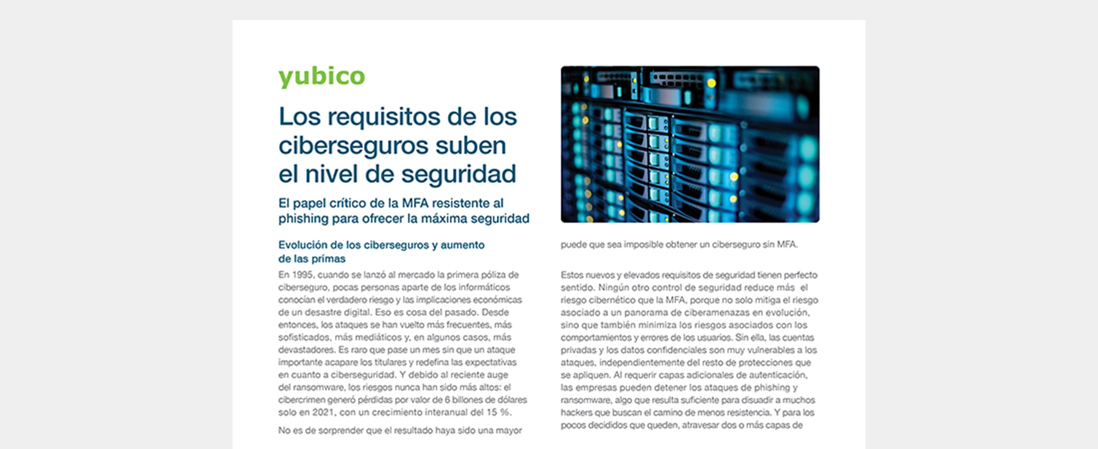 cyber insurance solution brief preview in spanish