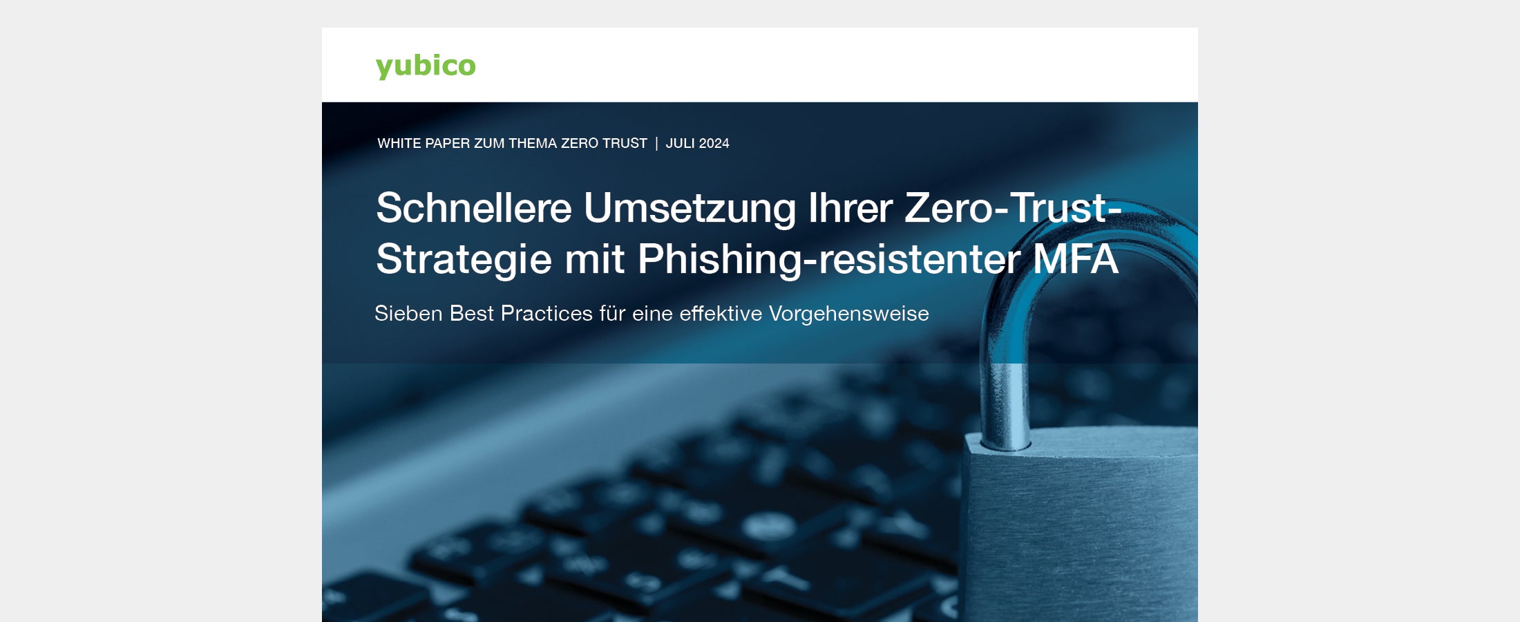German Zero Trust white paper preview