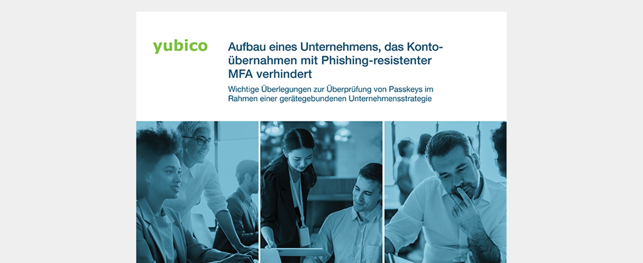 German Passkey ebook preview